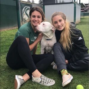 Meet your Posher, Shay